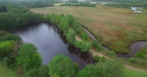 By the lake Stock Footage 56833448