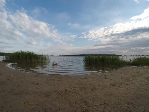 By the lake Stock Footage 76816374