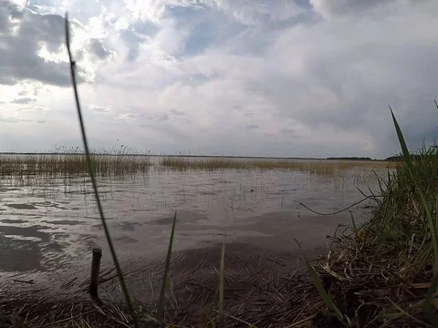 Lake Stock Footage 77918809