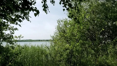 At lake Stock Footage 79170061