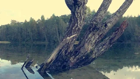 Lake Video stock 81632655