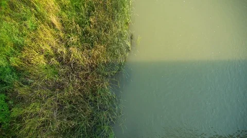 Lake Stock Footage 93346490