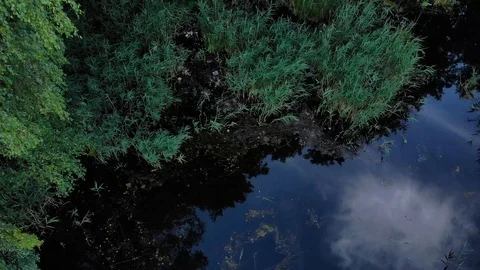 Lake! Stock-Footage 112180188