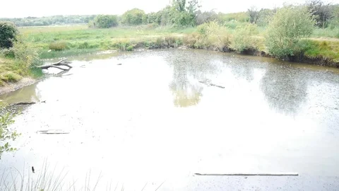 Lake Stock Footage 112698769