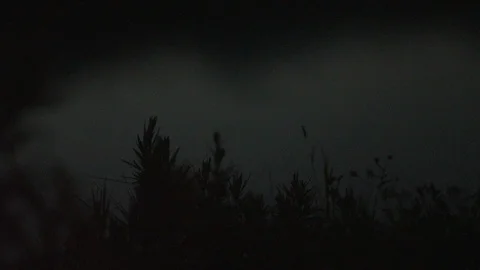 By the lake Stock Footage 117832542