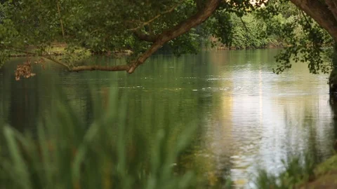 Lake Stock Footage 128451841