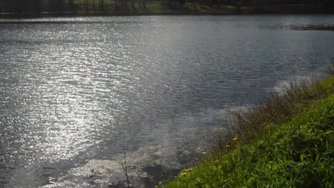 Lake Stock Footage 132216798