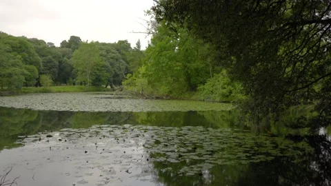 Lake Stock Footage 137448891