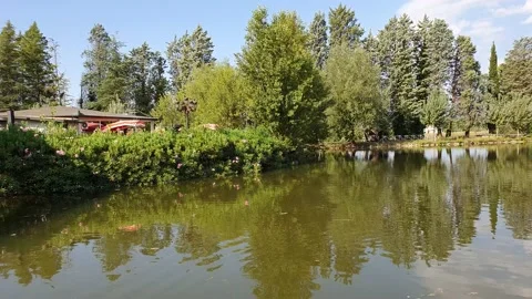 Lake Vídeos de archivo 137588614