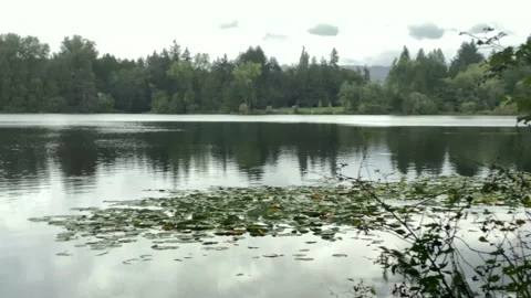 Lake Stock Footage 139897725