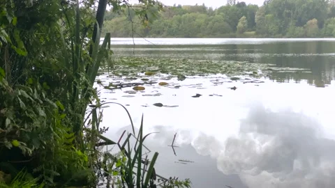 Lake Stock Footage 139897730