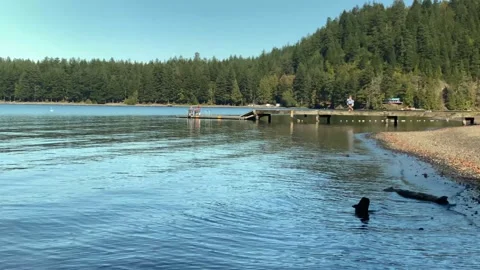 Lake Stock Footage 140155766