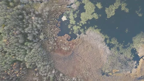 At the lake Stock Footage 166418894