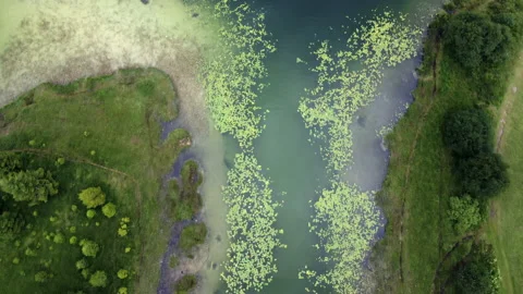 Lake Stock Footage 168021489