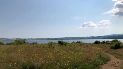 Lake Stock Footage 169191066