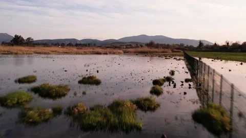 Lake Stock Footage 172219930