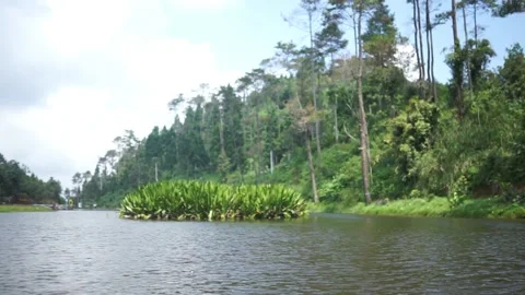 Lake 動画素材 205683375