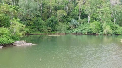 The Lake Stock Footage 219000651