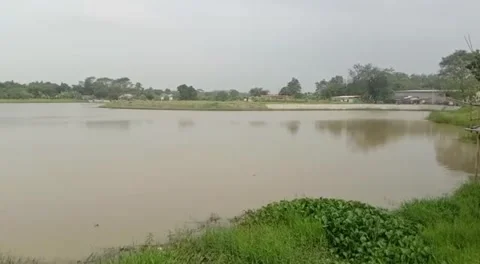 Lake Stock Footage 242353130