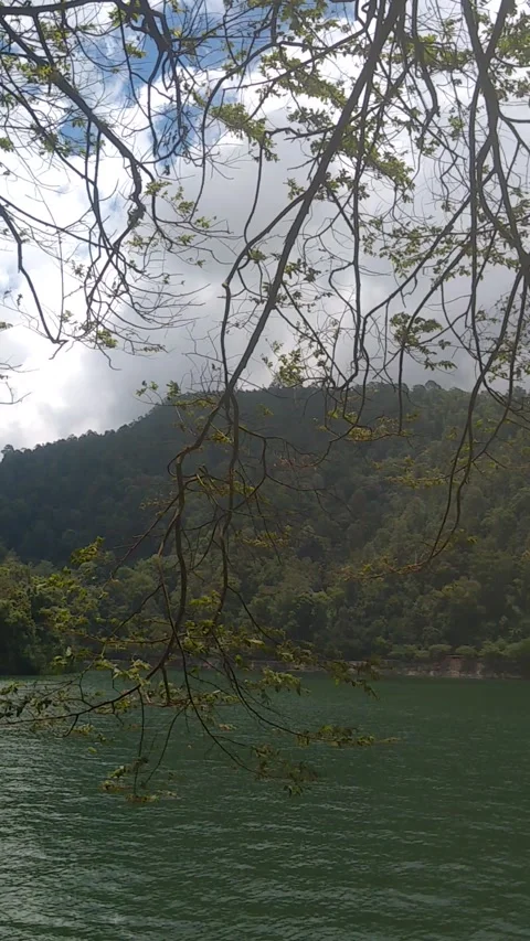 Lake Vídeos de archivo 243089760