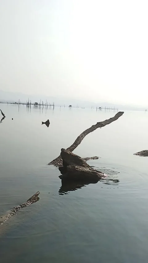 Lake Stock Footage 255588792
