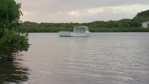 By the Lake Stock Footage 260206168