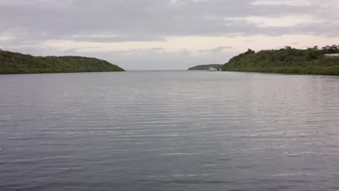 By the Lake Stock Footage 260206197