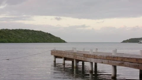 By the Lake Stock Footage 260206224