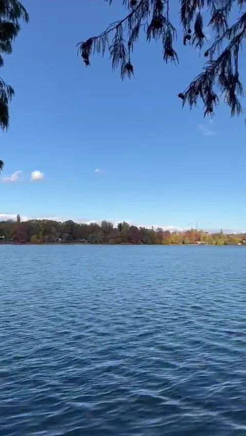 LAKE Stock Footage 260239382