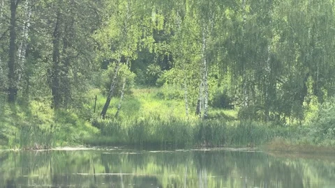 Lake 動画素材 279026428