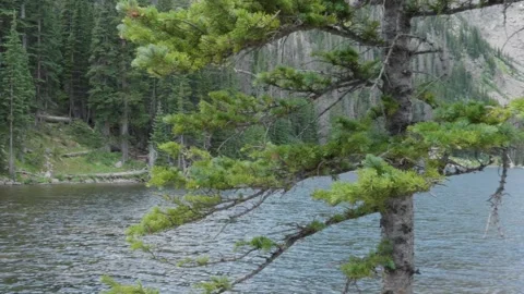 Lake Stock-Footage 280886851