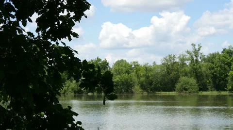 Lake in the Forest 4K Stock Footage 39902995