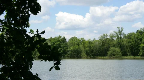 Lake in the Forest 4K Stock Footage 39903178