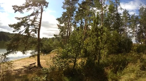 Lake in the forest. 4K Stock Footage 54923276