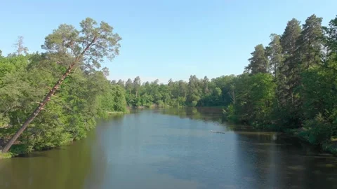 Lake In Forest Aerial Stock Footage 135580025