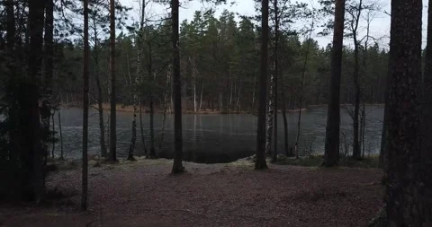 Lake in a forest, aerial view Stock Footage 175376096