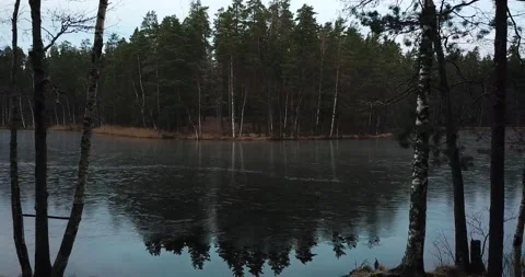 Lake in a forest, aerial view Stock Footage 175380256