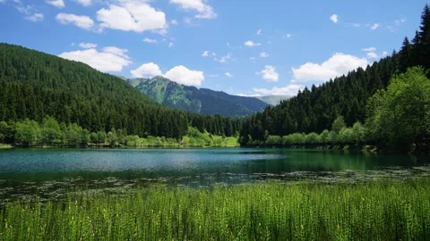 Lake In The Forest And Blue Sky Vídeos de archivo 334672245