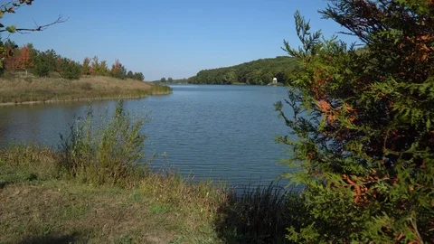 Lake, Forest and Mountain View 4K Stock Footage 115980230