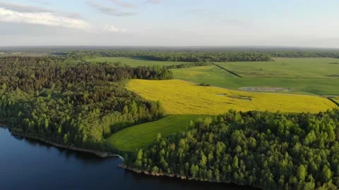 Lake, forest and yellow field in spring sunrise light 4k aerial top view. Fly Vidéo 154659002
