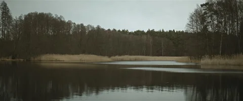Lake in the forest autumn anamorphic Stock Footage 297633364