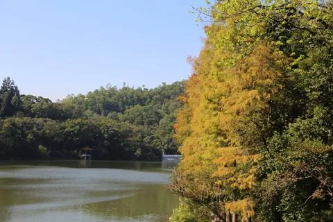 A lake with a forest in the background Stock Photos