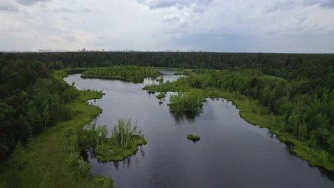 Lake in the forest with a drone Stock Footage 238502625