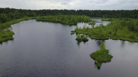 Lake in the forest with a drone Stock Footage 238502629