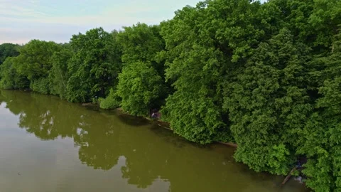 Lake in the forest with a drone Stock Footage 238502665