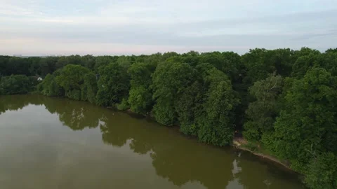 Lake in the forest with a drone Stock Footage 238502668