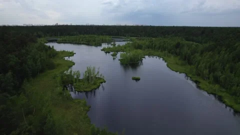 Lake in the forest with a drone Stock Footage 238502697