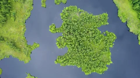 Lake in the forest with a drone Stock Footage 238502720