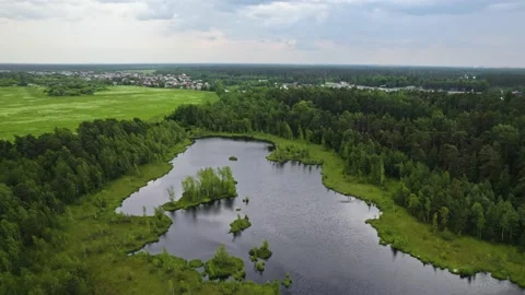 Lake in the forest with a drone Stock Footage 238502745