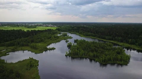 Lake in the forest with a drone Stock Footage 238502758